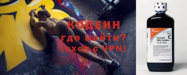 прущие грибы Белокуриха