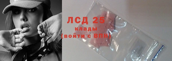 прущие грибы Белокуриха