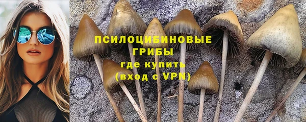 mdpv Балабаново